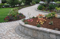 Island and border planting